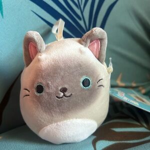 🆕😻Squishmallows ‘Felton’ the Kitty Cat😽4”  BRAND NEW ❣️